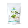 Herbal Magic's Pure & Natural Giloy Powder, for Super Smoothies, Shakes, soups - Premium Quality Powder - Free from Fillers & Preservatives - 100g view 1