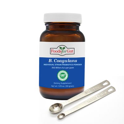 Foods For Gut Bacillus Coagulans Probiotic Powder 350 Billion cfu's | NO Additives | Digestive & Immune Support | High Potency | B. Coagulans | 30 Grams (1.05 Oz)