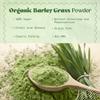 NaturaleBio Raw Organic Barley Grass Powder 1kg. Bio, Natural and Pure, Grown in Europe. Ideal for Green juices, Smoothies and Recipes. Suitable for Vegetarians and Vegans view 2