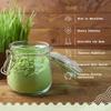 NaturaleBio Raw Organic Barley Grass Powder 1kg. Bio, Natural and Pure, Grown in Europe. Ideal for Green juices, Smoothies and Recipes. Suitable for Vegetarians and Vegans view 3