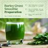 NaturaleBio Raw Organic Barley Grass Powder 1kg. Bio, Natural and Pure, Grown in Europe. Ideal for Green juices, Smoothies and Recipes. Suitable for Vegetarians and Vegans view 4