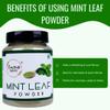 Flavour Drum Dehydrated Mint Leaf Powder Pure & Mint Powder Natural Ground Dry Mint Powder Extracted from Fresh Mint Leaves Vegetable Powder Seasoning Best for Cooking, Baking & More view 2