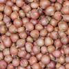 Medium Round Pickling Shallots 12kg (25-45mm) - Parrish Farms view 3