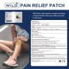 WILD+ Knee Pain Relief Patch, 12PCS Herbal Heat Knee Patches Large Max Strength Heat Pads for Back Pain Relief, Long-Lasting Relief Arthritis Pain Relief Plaster for Back/Neck/Joint/Muscle Pain view 2