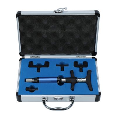 6 Levels Manual Chiropractic Spine Adjusting Corrector Tool, Portable Spine Therapy Back Massage Tool with Case, Trigger Tension Reliever Massager Back Massage Tool (6 Gears Four Heads)