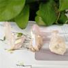 MCWJ 1pc natural rose angel aura crystal cluster electroplating Titanium coating quartz cluster stone Healing view 1