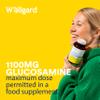 Wellgard Vegan Glucosamine & Phytodroitin Supplement with Quercetin, MSM, and Ginger Extract - Botanical Chondroitin Alternative, Includes Rosehip, Made in UK view 2
