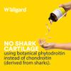 Wellgard Vegan Glucosamine & Phytodroitin Supplement with Quercetin, MSM, and Ginger Extract - Botanical Chondroitin Alternative, Includes Rosehip, Made in UK view 4