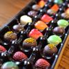 Martins Chocolatier Fabulously Fruity Signature Collection - Belgian & Dutch Luxury Chocolate Gift Box, 27 Pieces Milk Dark White Assorted Pralines & Truffles, 340g view 2