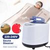 BigKing Sauna Steamer Pot, 2.68L Portable Fumigation Machine, Sauna Generator, 1000W Pot Machine, Body Therapy Steamer, Sauna Steam Generator Fumigation Machine for Home Spa(AC220-240V) view 3