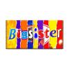 Big Sister Novelty Chocolate Bar Wrapper Lovely Gift Present For Sister Daughter #216 (without chocolate)