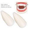 Cosplay Dentures, Party False Teeth Eco Friendly Harmless Vivid Lifelike Non Toxic Odorless with Storage Box for Role Playing Game for Festival for Carnival(17MM Boxed) view 3