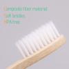 8 Pcs Bamboo Toothbrushes Soft Toothbrush with Wooden Handle Eco Friendly Bamboo Toothbrush with Plastic Free Packaging for Adults Travel Toothbrush Set view 4