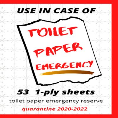 Use in Case of Toilet Paper Emergency | 53 1-Ply Sheets Toilet Paper Emergency Reserve Quarantine 2020-2022: Funny Blank Journal Spoofing the Toilet ... Novelty Gift, Birthday, Father's Day gift.