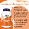 Now Foods, Pancreatin 2000, 200mg, 250 Capsules, Enzyme Blend, Gluten Free, SOYA Free, Non-GMO view 4