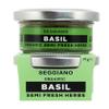 Seggiano Organic Semi Fresh Herbs - Basil view 1