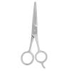 Beard Scissors Stainless Steel Men's Beard Eyebrows Scissors Men Facial Beard Mustache Trimming Grooming Scissors(2#) view 1