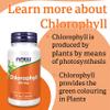 Now Foods, Chlorophyll, 100mg, 90 Vegan Capsules, Lab-Tested, Vegetable, Minerals, Gluten Free, Soy Free, Vegetarian view 4
