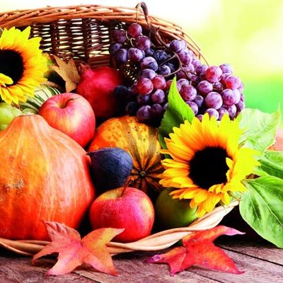 20 Napkins Basket Full Harvest Sunflower Fruit Harvest Autumn Table Decoration 33 x 33 cm