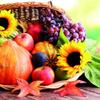 20 Napkins Basket Full Harvest Sunflower Fruit Harvest Autumn Table Decoration 33 x 33 cm view 1