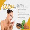 Organic Cacao/Cocoa Powder 1Kg | Pure & Unsweetened | Mood Enhancer & Cardiovascular Health | Natural Source of Magnesium | Perfect for Smoothies, Baking & Hot Chocolate | Non-Alkalised, Vegan view 3