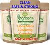 Lions Mane Capsules 120 Capsules 10,000mg per Capsule, 500mg 20:1 Extract (10 Grams Raw Powder Equivalent) | 100% Clean Natural No Filers or Additional Chemical view 1