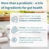 Igennus Probiotics & Prebiotics 2 in 1, Lactobacillus Acidophilus & Bifidobacterium, Live Cultures+ Lab4 for Gut Health, Guaranteed 25 Billion CFU, Bloating Relief, for Women & Men, 30 Vegan Capsules view 3