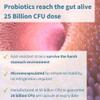 Igennus Probiotics & Prebiotics 2 in 1, Lactobacillus Acidophilus & Bifidobacterium, Live Cultures+ Lab4 for Gut Health, Guaranteed 25 Billion CFU, Bloating Relief, for Women & Men, 30 Vegan Capsules view 4