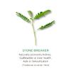 KEPTALIT Natural Liver and Kidney Support Stone Breaker Extract Kidney Cleanse Herbal Supplement Source of Polyphenols - 60 Vegan Capsules - 1 Month Supply view 4