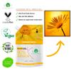 Arnica Gel Extra Strong 100% Natural Remedy Max Strength Muscle & Joint Relaxing Massage Therapy Balm, Tackling Tired Legs and Swollen Legs, Comfort & Relaxant Sport Gel - 2000 ml view 3