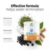 Nature's Finest by Nutrisslim OK!WaterOut  Vegan Herbal Drink with Elderberry, Nettle & Knotweed  Water Retention & Bloating Relief for Natural Detox Support (150g, 15-Day Supply) view 2