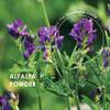 Organic Alfalfa 1200mg - 120 Vegan Capsules (2 Months Supply)  High Strength Alfalfa Supplement  Resealable and Recyclable Pouch  by Alpha01 view 4