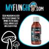 MyFunghi Pure Reishi CO2 extracted Oil. 100% Organic Reishi Spore Oil view 2