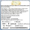 Jaiccha Ghasitaram Christmas Gifts Gourmet Big Hamper Box of 18 Goodies with Assorted Bites view 4