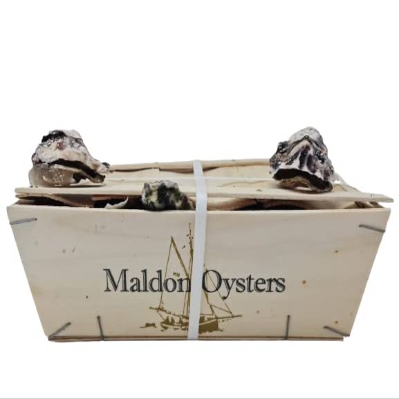 25 Fresh Oysters in Wooden Case