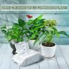 Leopong Leaf Shine Cleaning Wipes for Clean and Photosynthesis - Unscented Plant Cleaner for Indoor Outdoor Use | 80 Wipes view 4