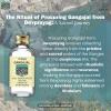 Devprayag Gangajal Holy Ganga Water from The Origin or Beginning of River Ganga at Devprayag in Clear Glass Bottle 100ml (3.38 oz) view 2