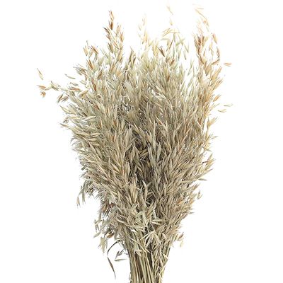 INIFLM 50Pcs Natural Dried Flowers, Dried Oatmeal Flowers Dry Wheat Grass Bouquet Artificial Dried Flowers for Fireplace Home Kitchen Church Table Wedding Home Decor (40-45cm)