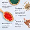 Vegan Omega 3 Capsules - High Strength DHA from Algae Oil with Flaxseed Oil, Astaxanthin, Vitamin E - Algae Omega 3 Vegan - 60 Easy Swallow Softgel Tablets - Sustainable Vegetarian DHA Supplements view 4