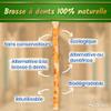 MODOGO Miswak Stick x10 - Natural Chewable Wooden Toothbrush for Oral Hygiene - Organic Miswak Dental Tool for Fresh Breath - Reusable Miswak for Teeth Whitening and Healthy Smiles view 2