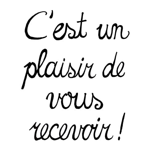 20 Plaisir Napkins | Sayings | Table Decoration 33 x 33 cm