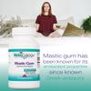 Nutricology, Mastic Gum (Mastix), 500mg, 120 Vegan Capsules, Vegetarian, Gluten Free, SOYA Free, Non-GMO view 4