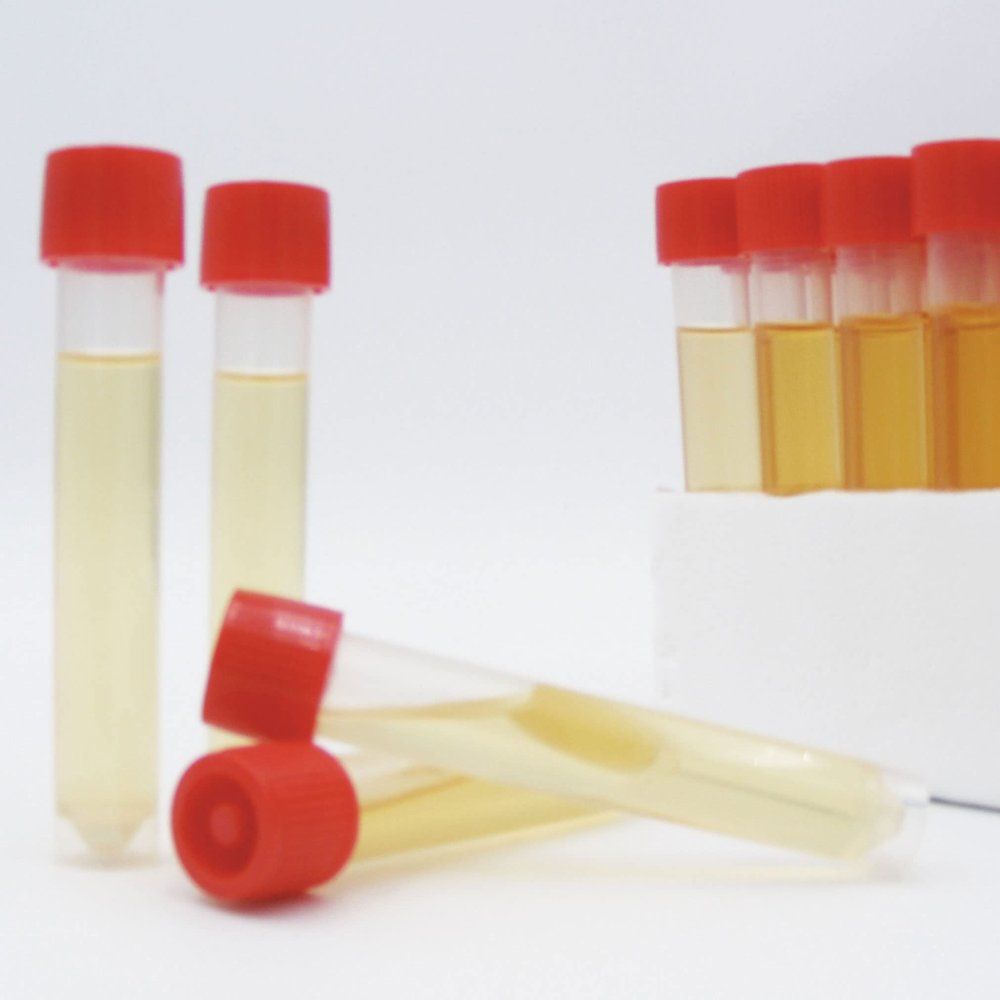 SCDLP 80 BROTH (Soybean Casein Digest Lecithin Polysorbate 80 Medium) - 100 Test Tubes