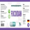 Hepatica Fucoidan from Bladderwrack (Fucus vesiculosus) 500mg  120 Vegan Capsules | High-Strength Seaweed Extract | Immune & Cellular Health Support | Gluten-Free, Non-GMO Supplement view 4