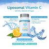Liposomal Vitamin C Complex with Zinc, Selenium and Copper : All-in-ONE Enhanced Absorption Immune Support : 250mg, 120 Vegan Capsules (4 Month Supply) : Non-GMO, Made in UK view 3