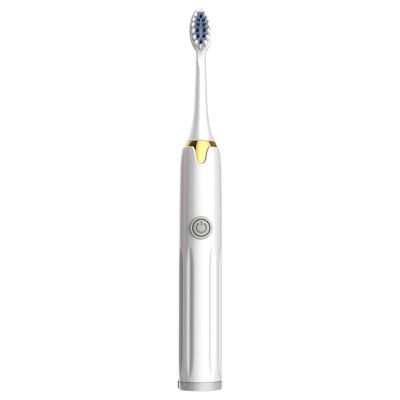 Electric Toothbrush, Rechargeable Powered Toothbrush9500 Times/Min Acoustic Cleaning3 Replacement Brush Heads, Ultrasonic Toothbrush for Adult, for Men/Women (White)