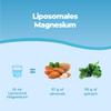 Bandini Liposomal Magnesium Liquid | High Strength, Bioavailability & Absorption | Reduces Stress, Tiredness, Headaches, Nervousness, Constipation & Promotes Relaxation | Vegan, Non-GMO | 250ml view 4
