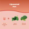 Bandini Liposomal Iron Liquid Food Supplement with Iron + Vitamin C High Dosage, Absorption & Bioavailability for Tiredness & Fatigue Vegan & GMO-Free 250ml 1 Month Supply with Doser view 4