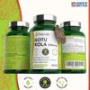 180 Gotu Kola Vegan Tablets for Adults - (6 Months Supply) 500mg Herbal Centella Asiatica for Stress & Anxiety - UK Manufactured view 3