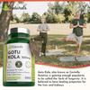 180 Gotu Kola Vegan Tablets for Adults - (6 Months Supply) 500mg Herbal Centella Asiatica for Stress & Anxiety - UK Manufactured view 4